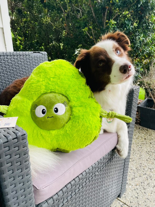 Durable Plush soft dog toy-Carrot