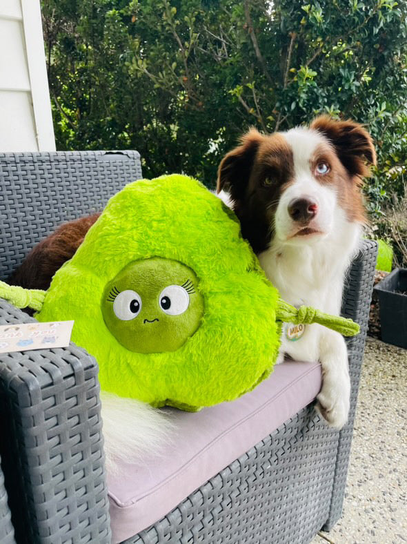 Durable Plush soft dog toy-Carrot