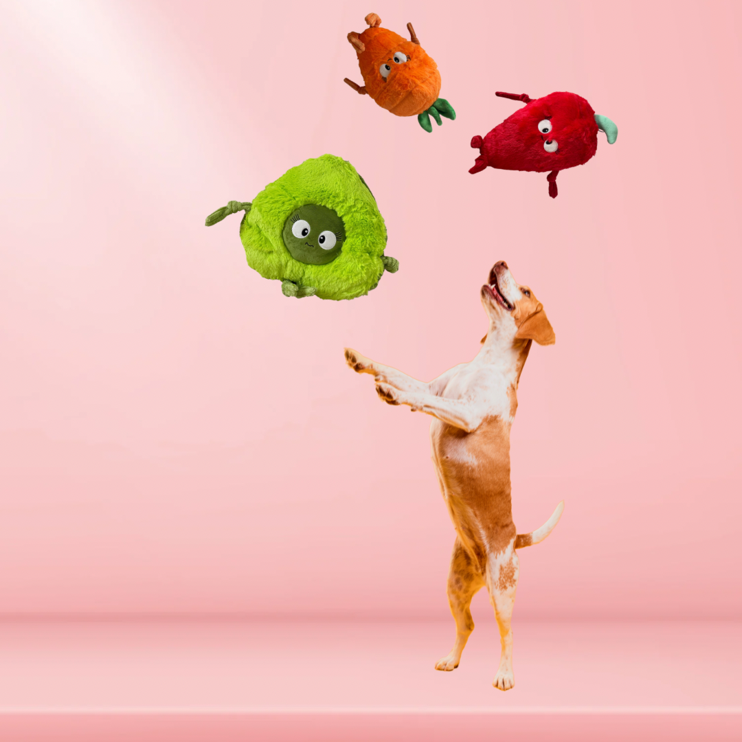 Durable Plush soft dog toy-Chili - Pals for Paws