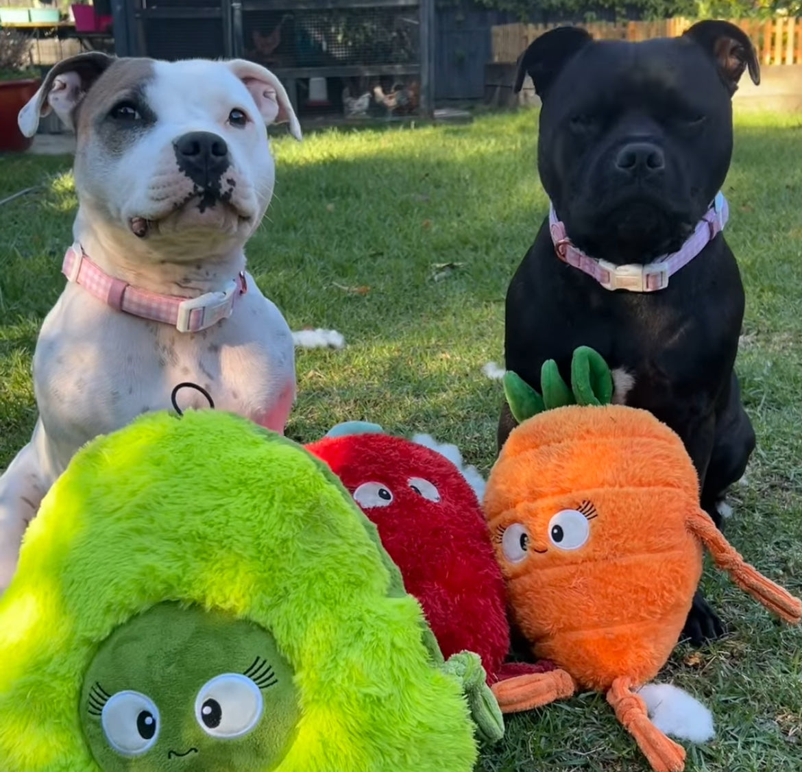 Durable Plush soft dog toy-Carrot