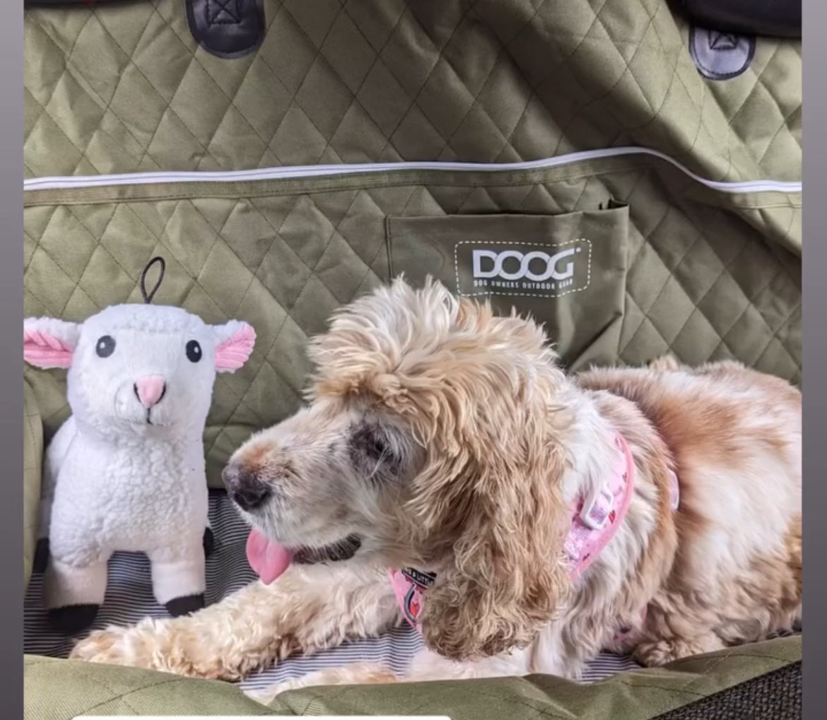Plush soft dog toy bundle - 2 in 1 dog toy ( Hidden toy inside)