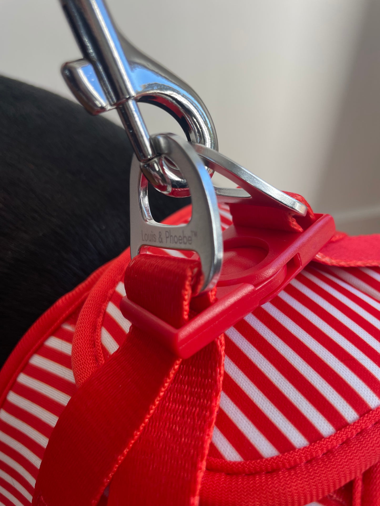 Padded handle dog lead - Candy Stripe Leash -Red