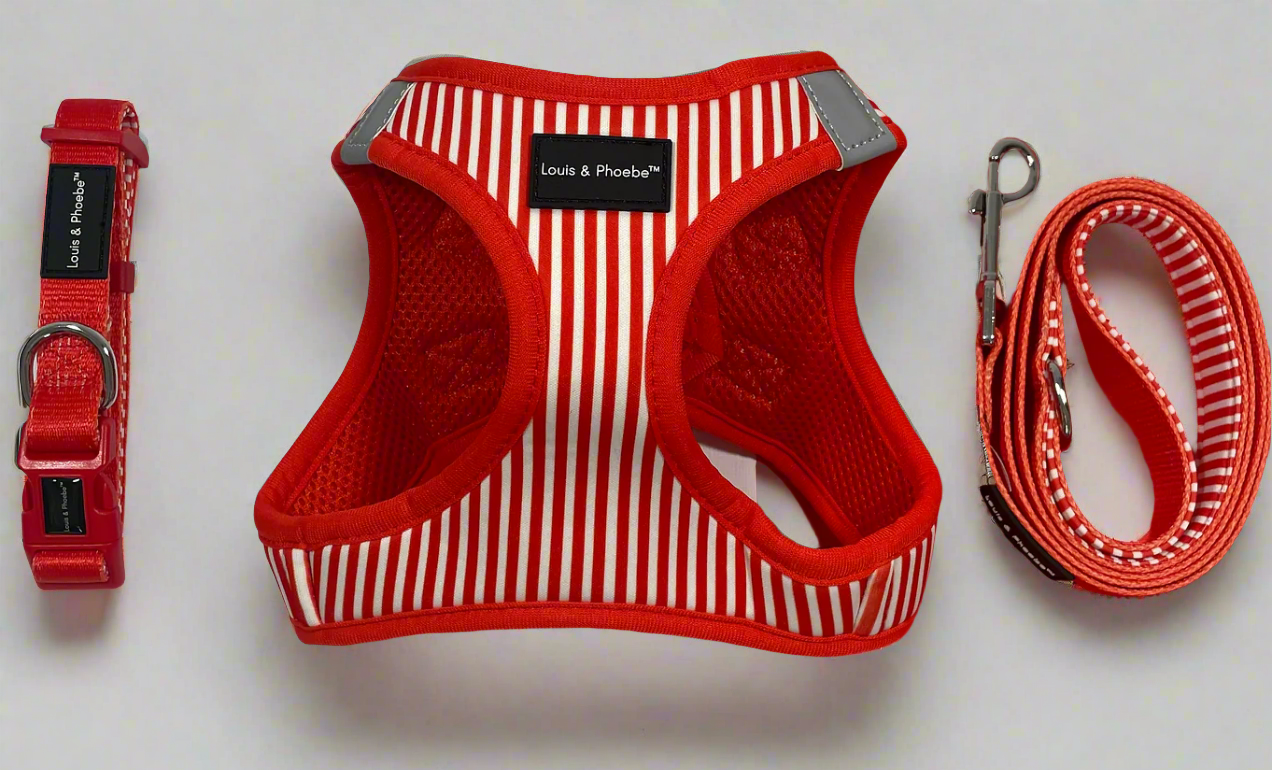 Step in dog harness - Click and walk harness- Red
