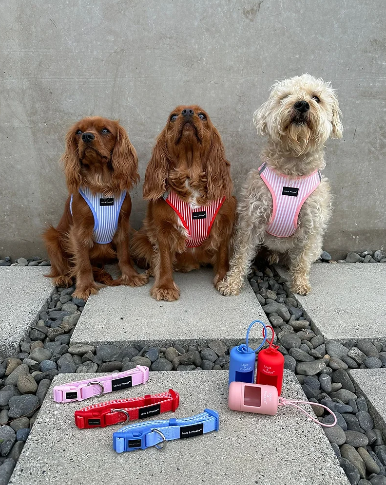 Step in dog harness - Click and walk harness- Red