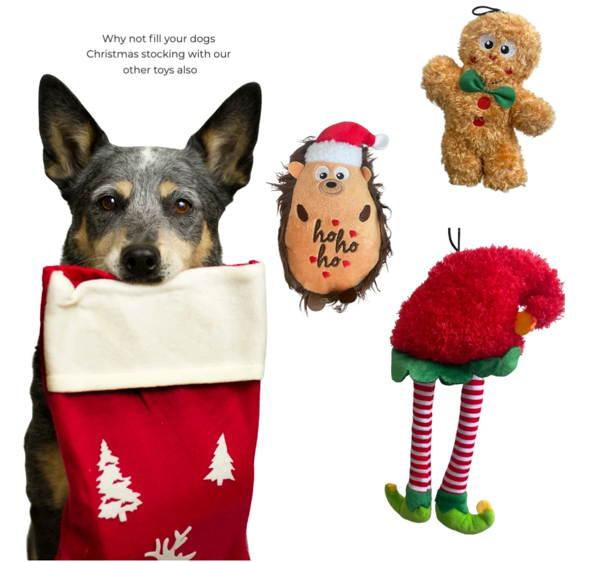 Christmas Ginger Bread Man - Plush dog toy