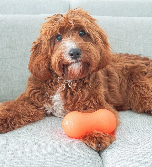 RuffDawg Peanut Crunch Dog Toy