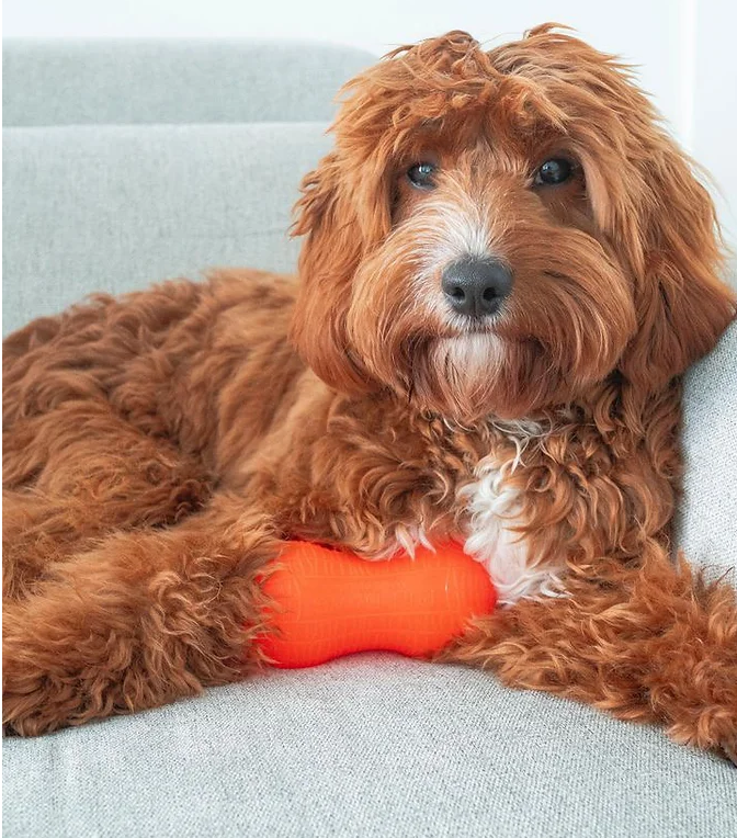 RuffDawg Peanut Crunch Dog Toy