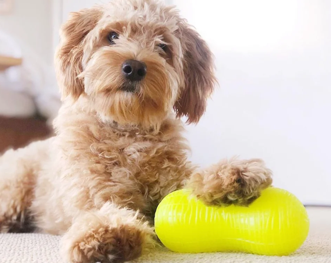 RuffDawg Peanut Crunch Dog Toy