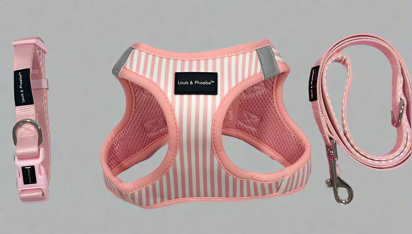 Padded handle dog lead -Baby Pink