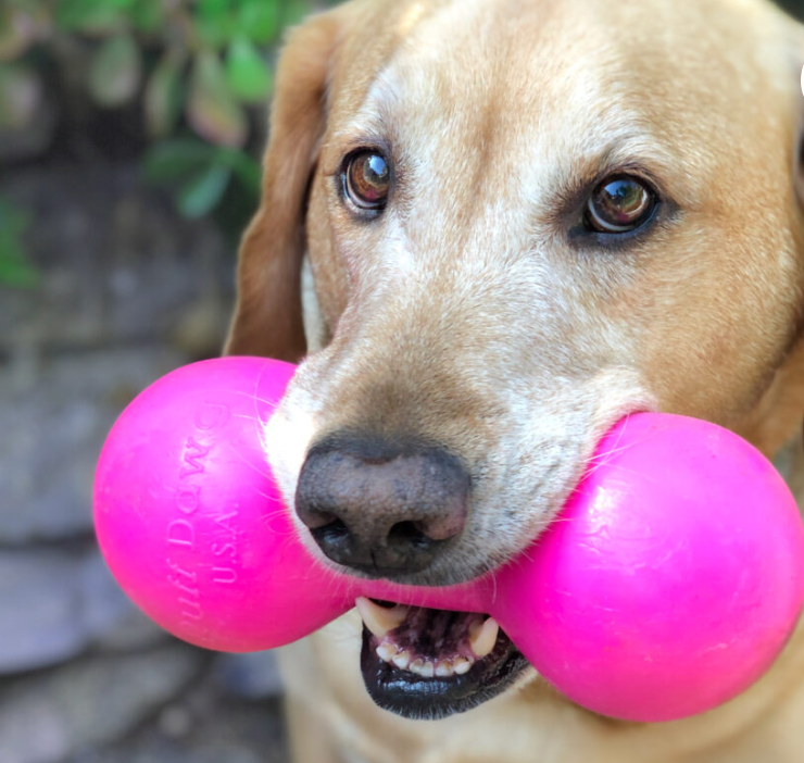 NEW COMING SOON - Indestructible rubber dog toy - BIG DAWG