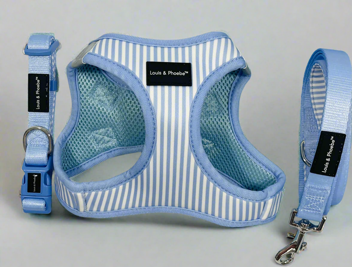 Louis & Phoebe- Click & Walk Harness -Baby Blue