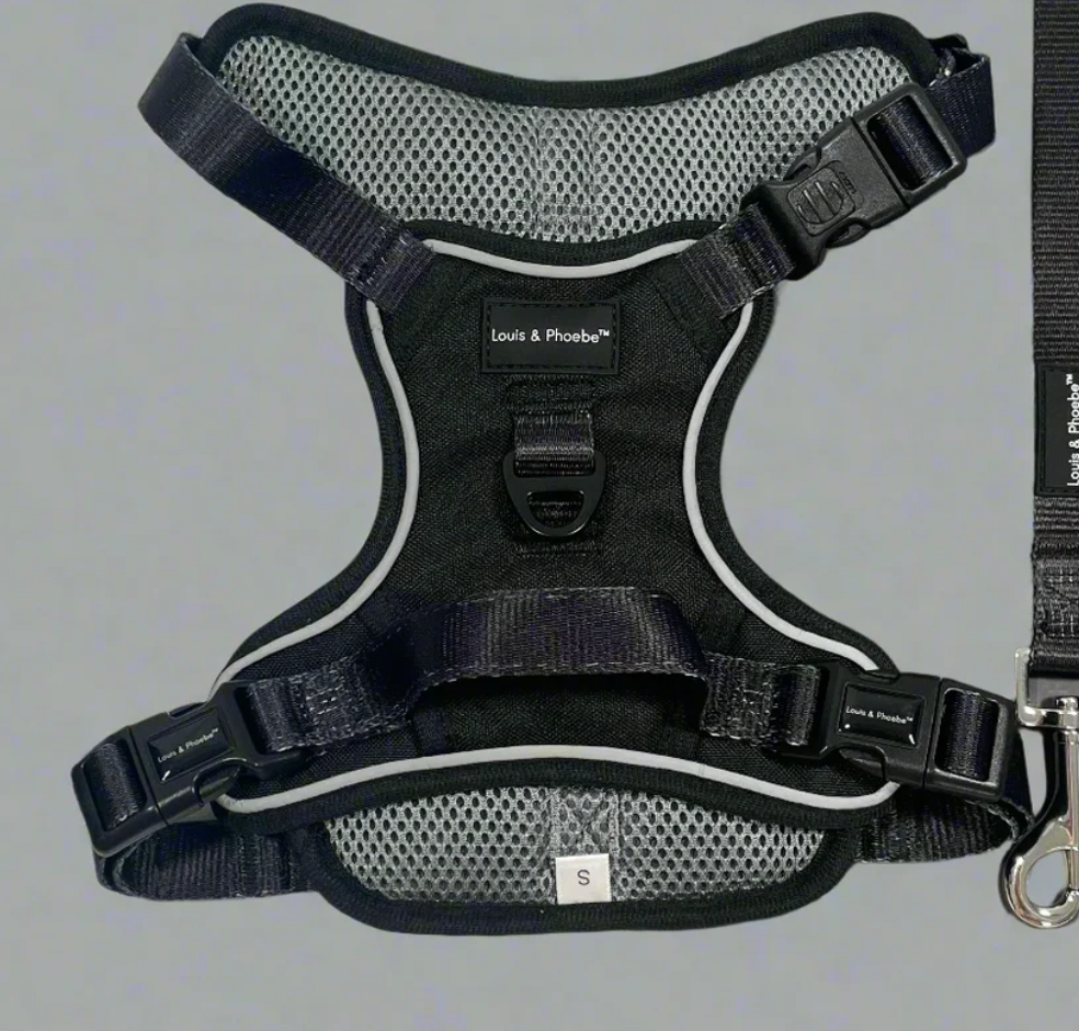 Louis & Phoebe -Black - adventure flexi harness