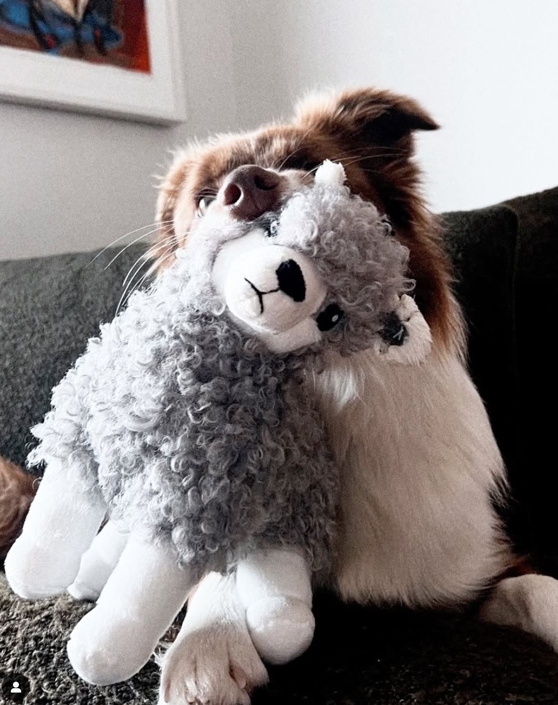 Plush soft dog toy bundle - 2 in 1 dog toy ( Hidden toy inside)