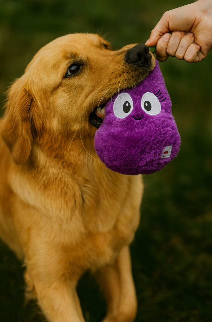 Plush dog toy- Eggwina Eggplant -Pals for Paws™