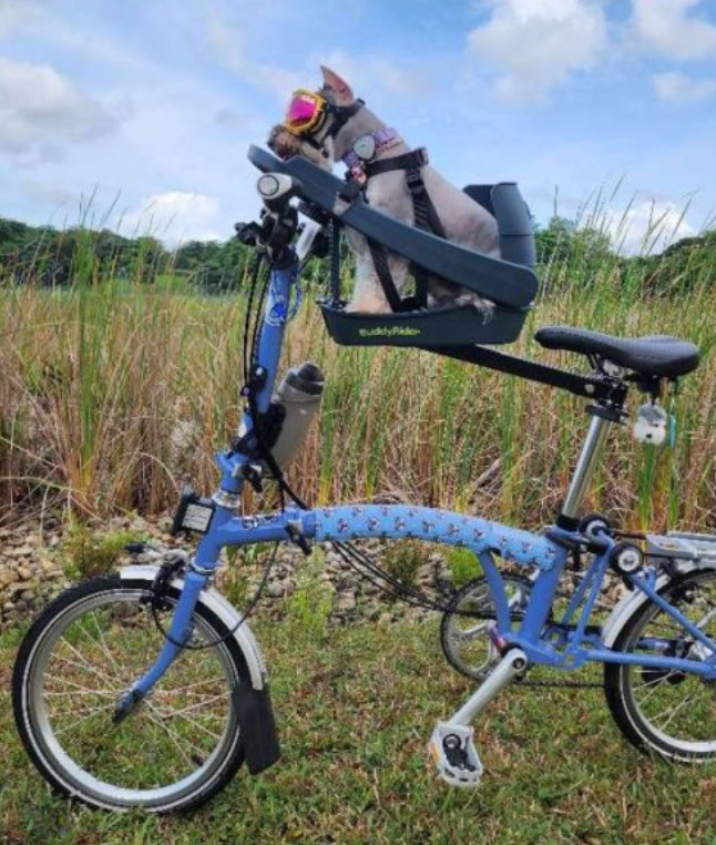 BuddyRider® Series 2 - Dog Bike Seat & Flex Arm