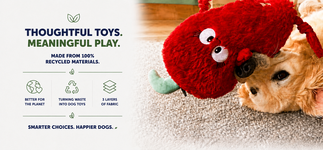 100% Recycled Dog Toys Australia | Eco-Friendly Dog Toys by Pals For Paws