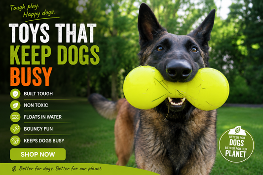 Rubber vs Nylon Dog Toys: Why RuffDawg Rubber Toys Are Better for Play