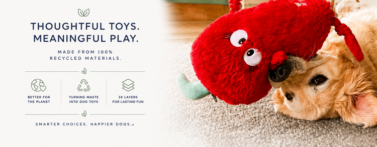Pals for Paws™ - Eco friendly dog toys