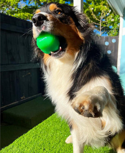 Ruffdawg Tough rubber dog toy - DawgCube