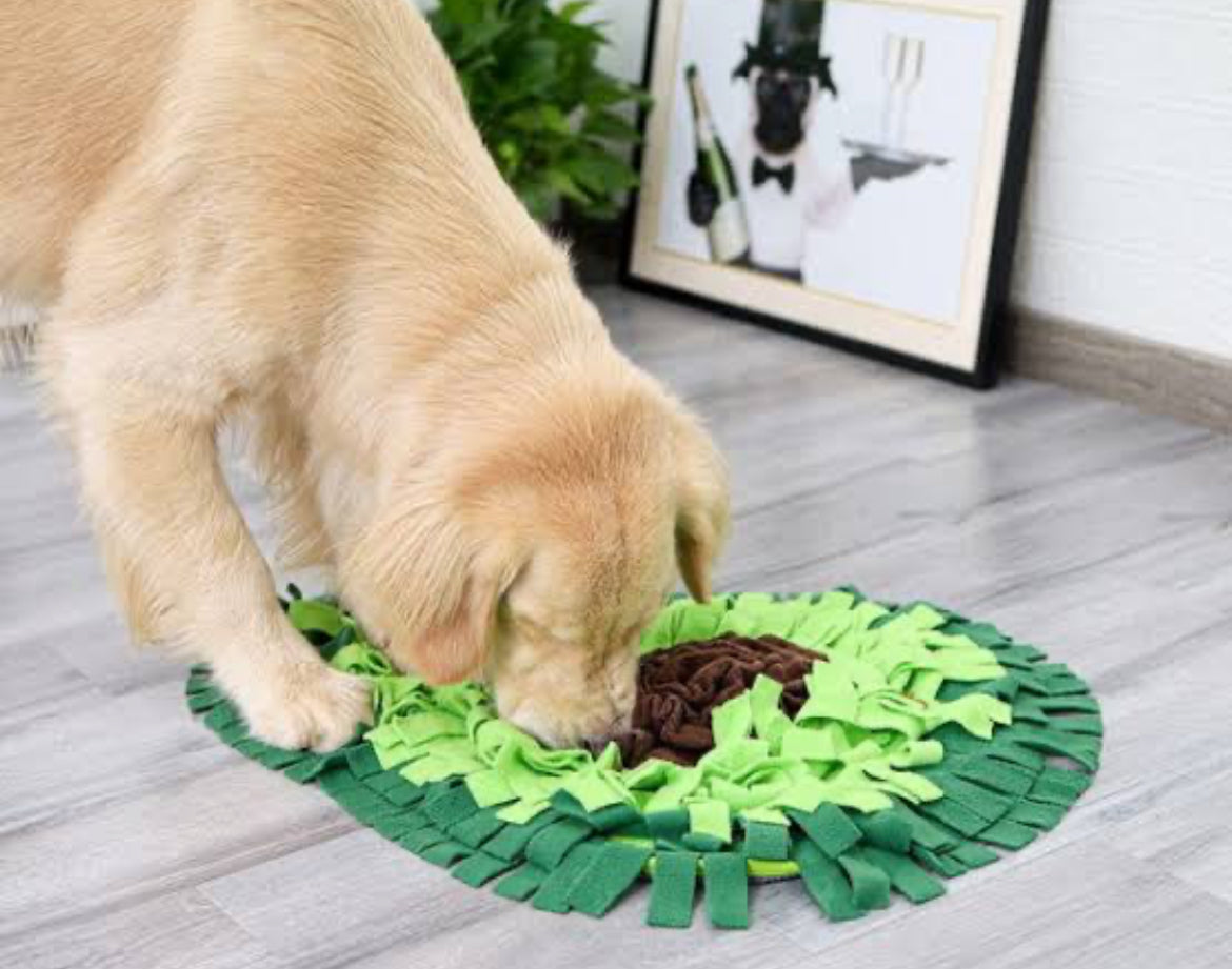Avocado Snuffle May