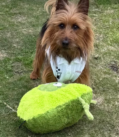 Smashy the Avocado- Plush Dog Toy- 100% Recycled Material - Tougher