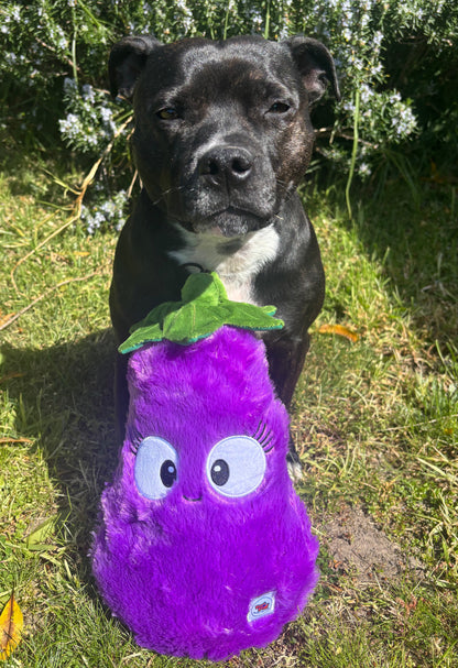 Eggwina Eggplant-Plush dog toy- Pals for Paws™- Made with 100% Recycled Material