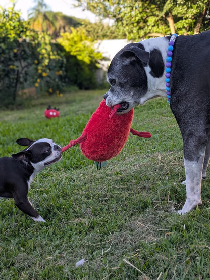 Spicy Chilli ™ Eco-Friendly Plush Dog Toy | Tug & Play|Pals For Paws™