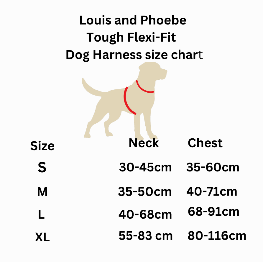 Louis & Phoebe -Black - adventure flexi harness bundle image 5