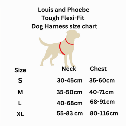 Louis & Phoebe -Black - adventure flexi harness bundle image 5