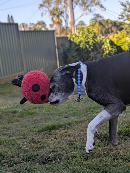 Larry Ladybug™ Eco-Friendly Plush Dog Toy