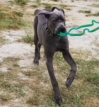 NEW - Ruffdawg-  Super Fling