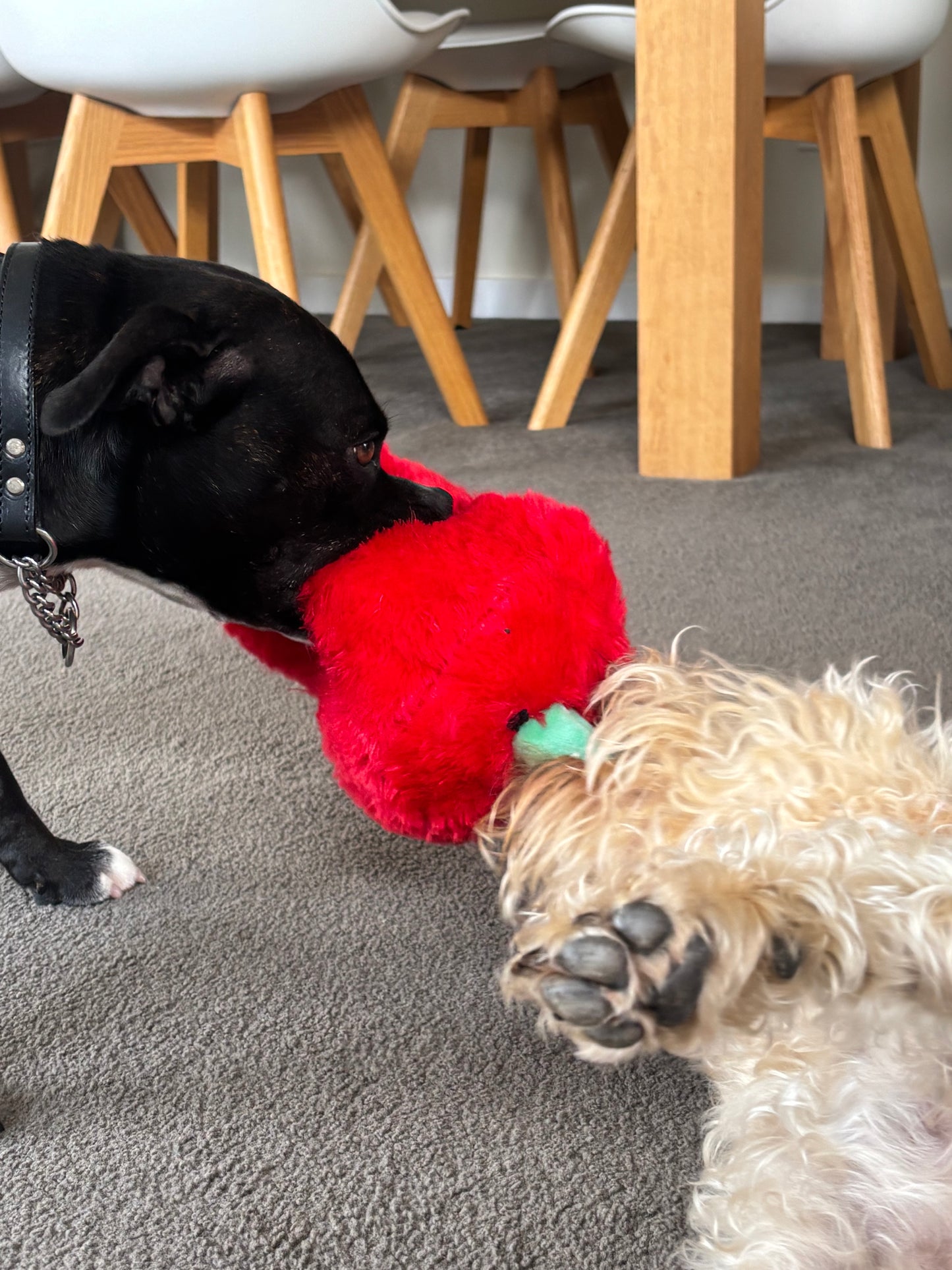 SpicyChilli- Plush Dog Toy -100% recycled material