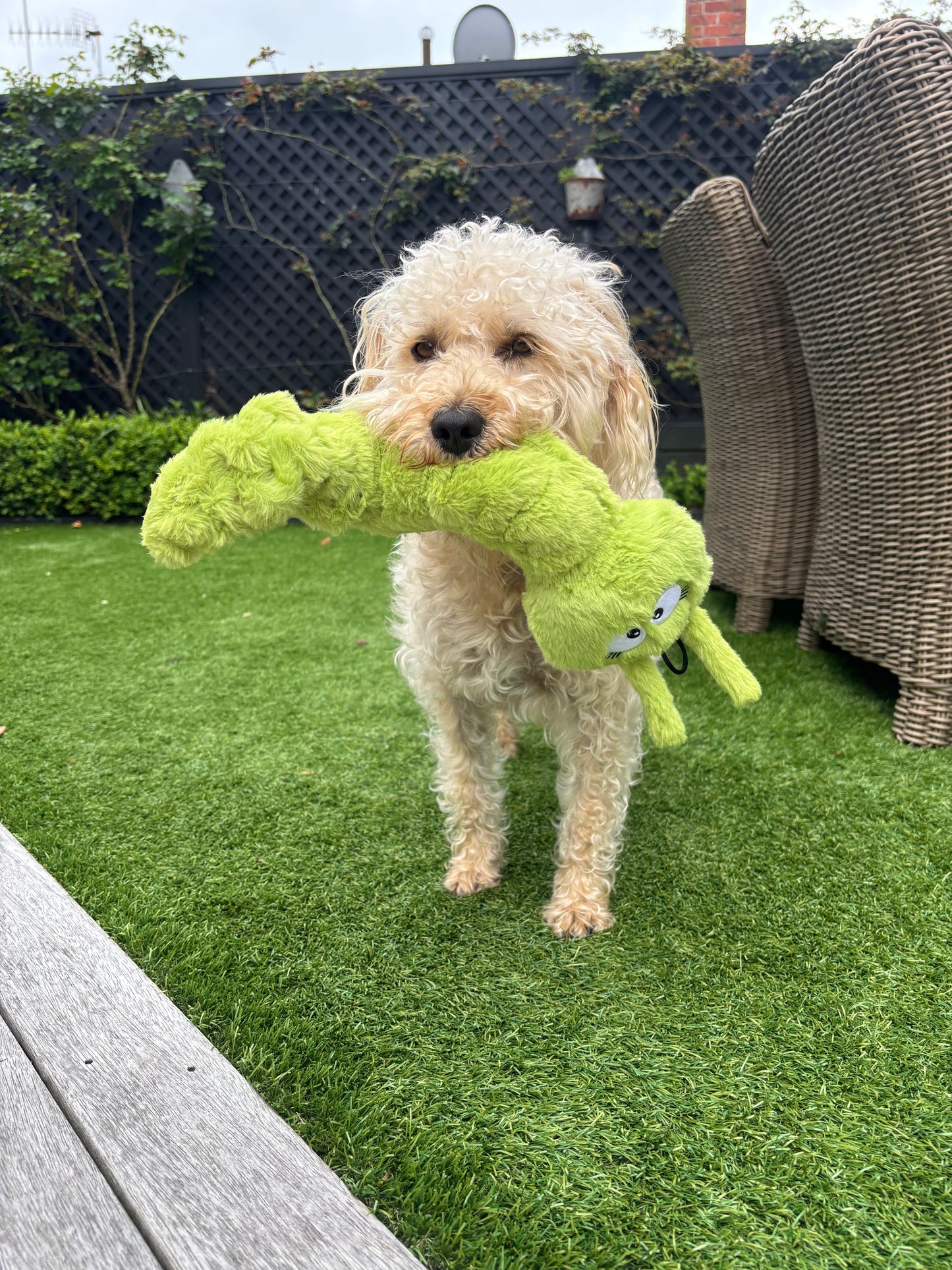 Connie Caterpillar Plush Tug Toy-  Pals for Paws™-Made with 100% Recycled Material