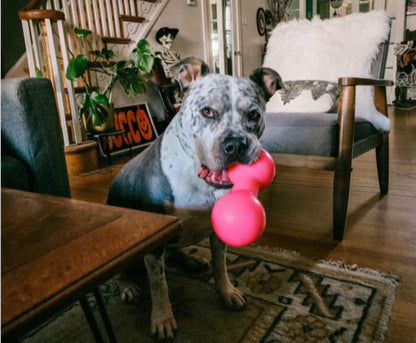 Ruffdawg Tough rubber dog toy - BIG DAWG