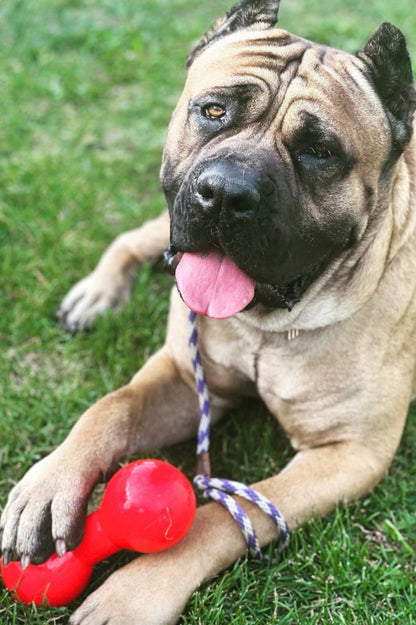 Ruffdawg Tough rubber dog toy - BIG DAWG