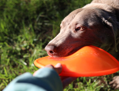 Ruffdawg K9 Flyer - Rubber flying dog toy