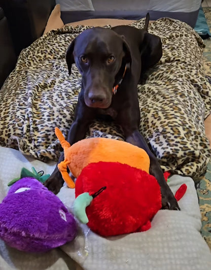 Eggwina Eggplant-Plush dog toy- Pals for Paws™- Made with 100% Recycled Material