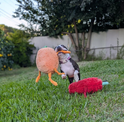 Crazy Carrot™ Eco-Friendly Plush Dog Toy | Tug & Play|Pals For Paws™