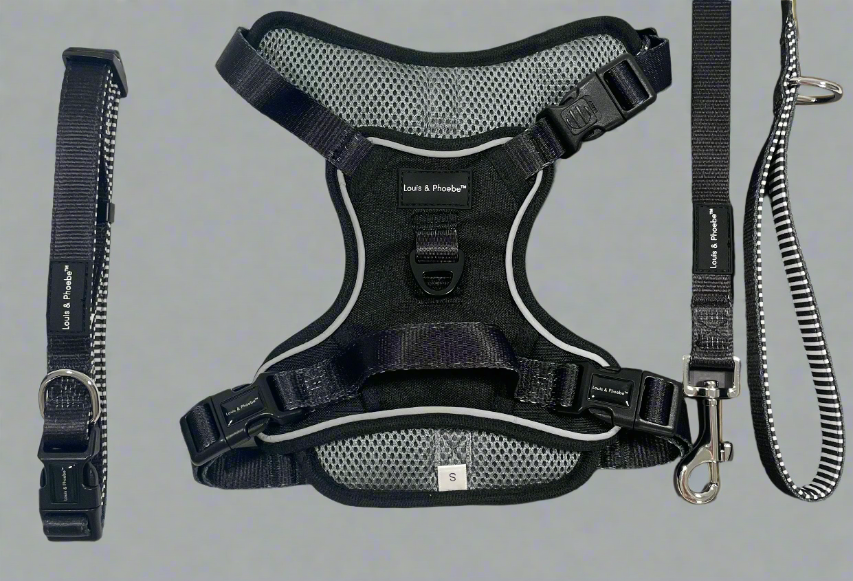 Louis & Phoebe -Black - adventure flexi harness bundle image 0