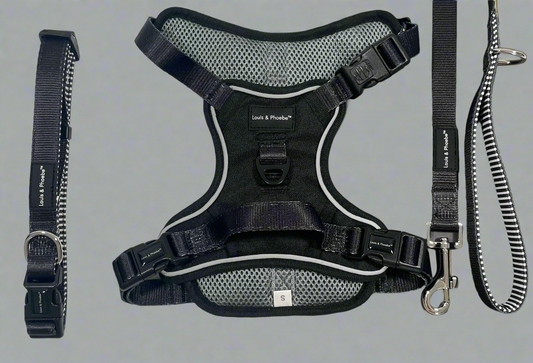 Louis & Phoebe -Black - adventure flexi harness bundle image 0