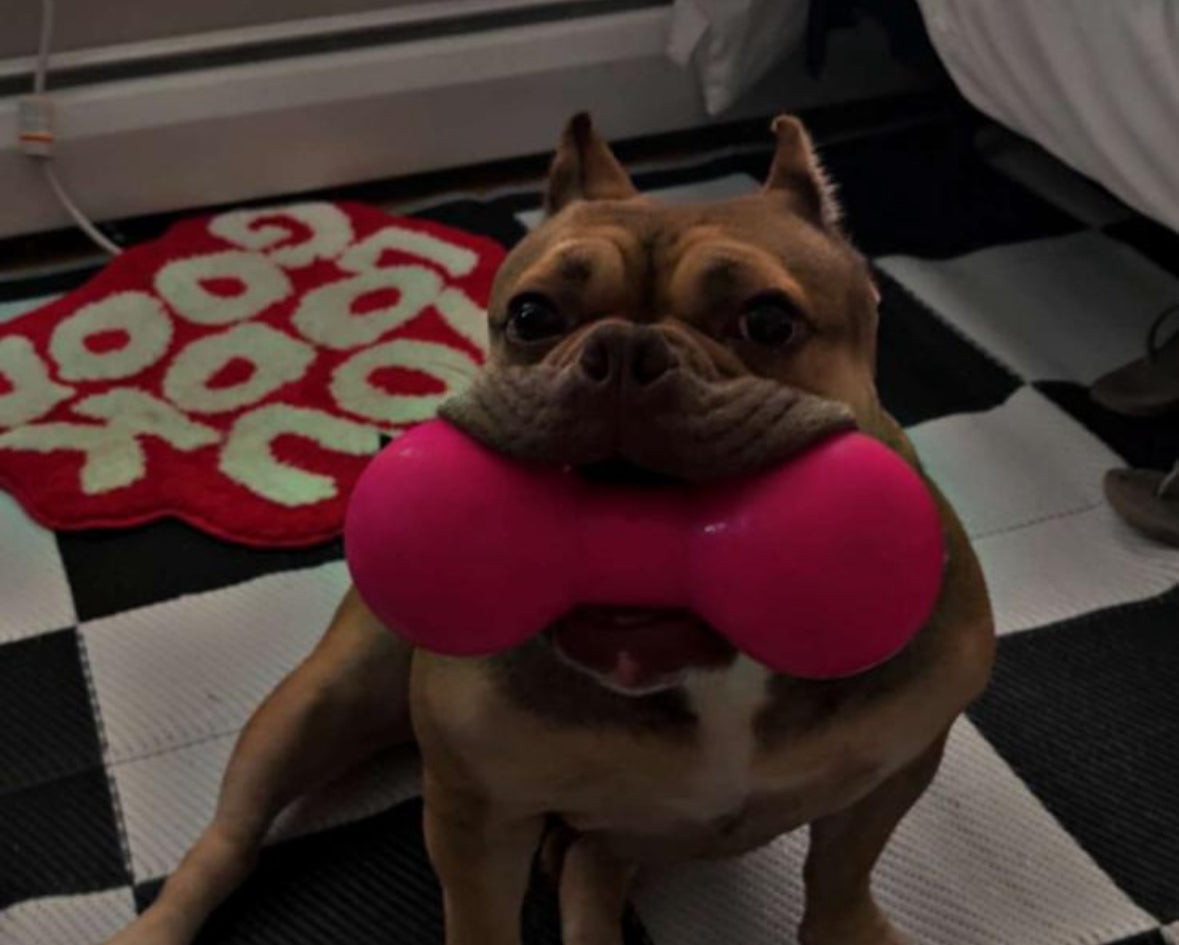 Ruffdawg Indestructible rubber dog toy - BIG DAWG