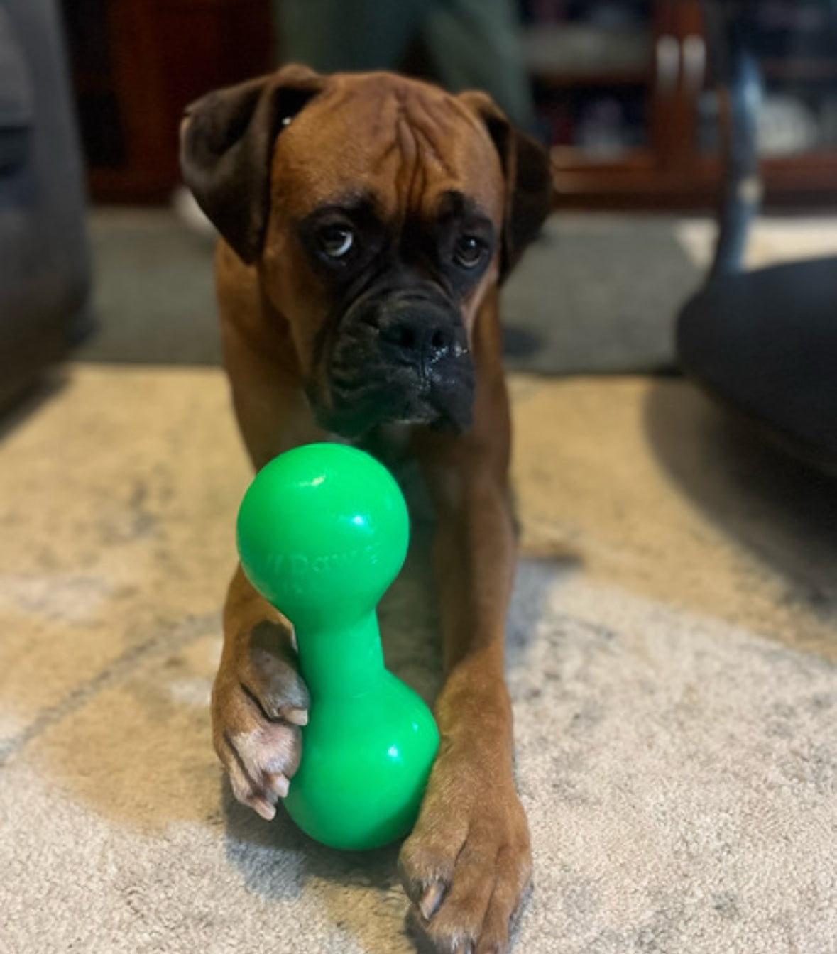 Ruffdawg Tough rubber dog toy - BIG DAWG