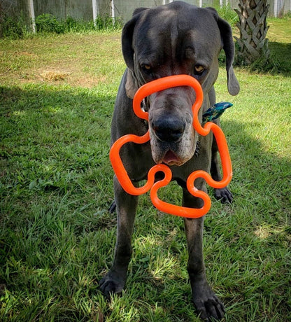 NEW - Ruffdawg-  Super Fling