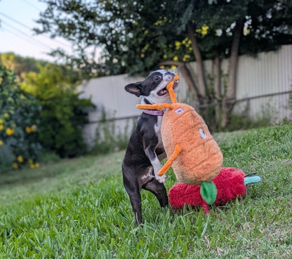 Crazy Carrot™ Eco-Friendly Plush Dog Toy | Tug & Play|Pals For Paws™