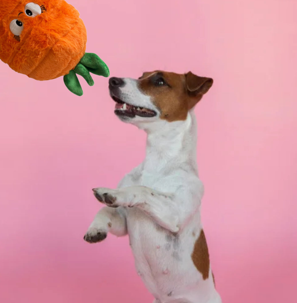 Durable Plush soft dog toy-Carrot - Pals for Paws 