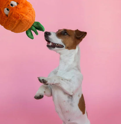 Durable Plush soft dog toy-Carrot - Pals for Paws 