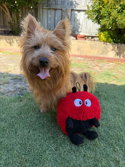 Larry Ladybug Plush Dog Toy - Pals For Paws™-Made with 100% Recycled Material