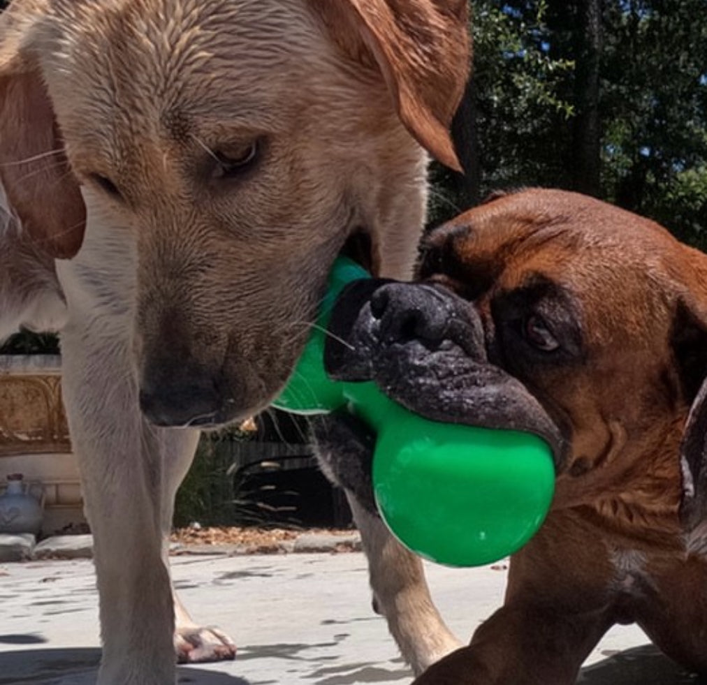 Ruffdawg Indestructible rubber dog toy - BIG DAWG