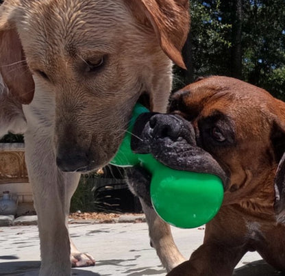 Ruffdawg Indestructible rubber dog toy - BIG DAWG