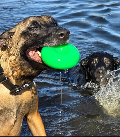 Ruffdawg Tough Dog Toy-  Dawgnut